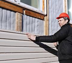 Best Historical Building Siding Restoration  in Cedar Falls, IA